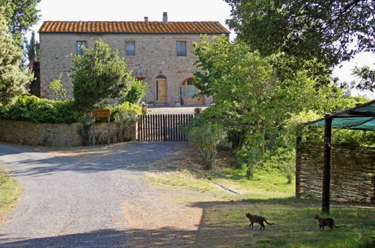 Pian di Zano: Margherita — photo 4