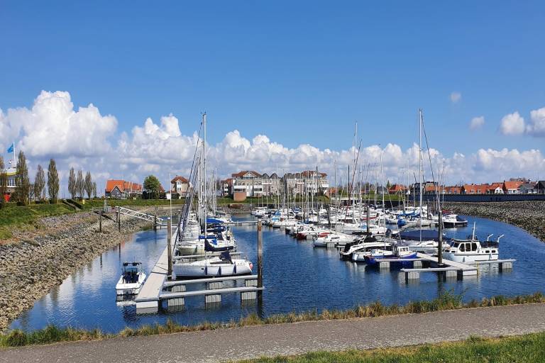 foto10
