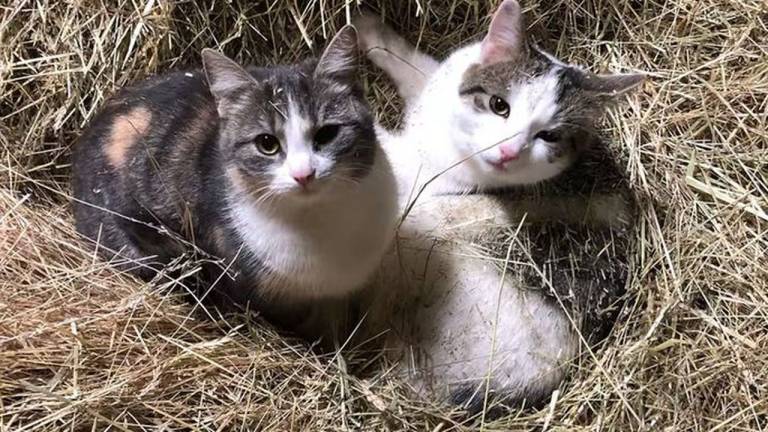 foto21