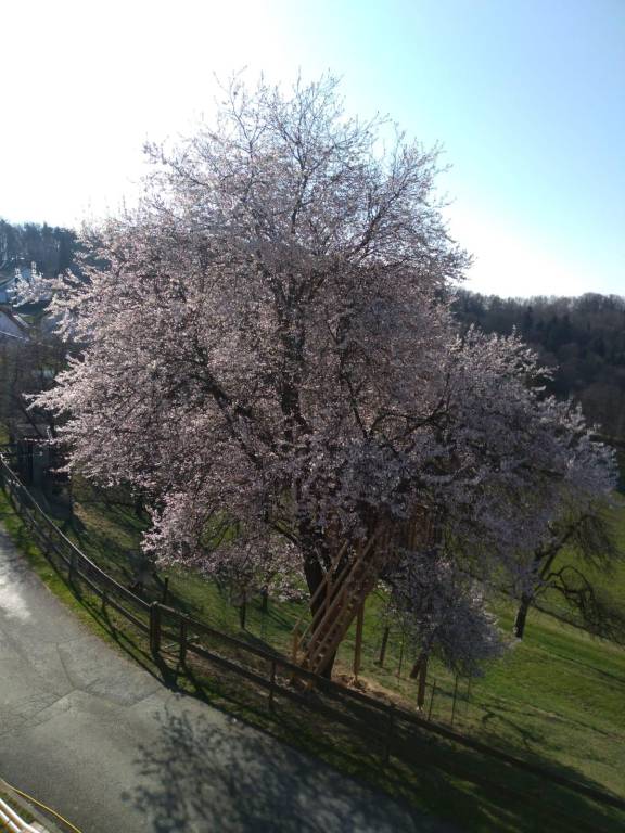 foto22