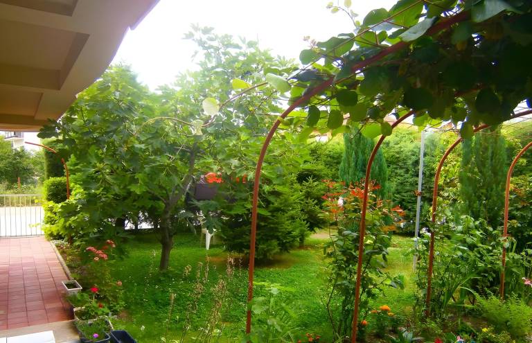 foto10