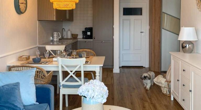 Beautiful rental apartment | Pets are welcome — photo 3