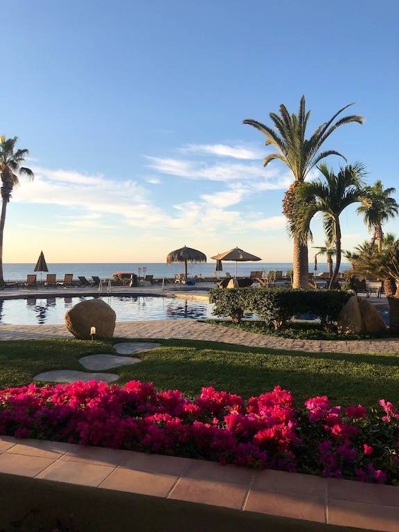 Departamento Palmilla