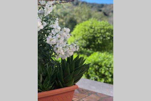 foto18