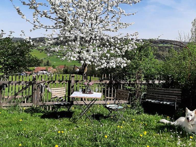 foto20