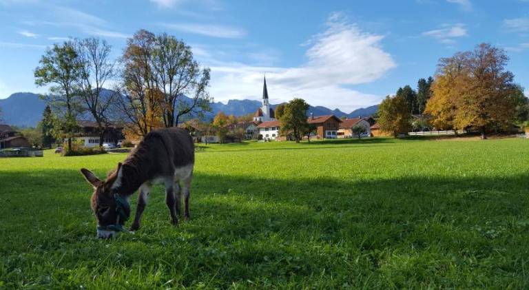 foto10