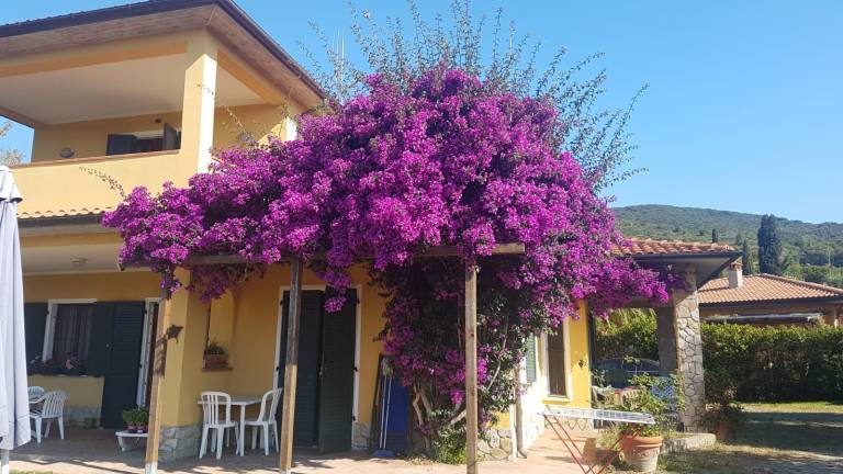 Villa vacanza Lacona