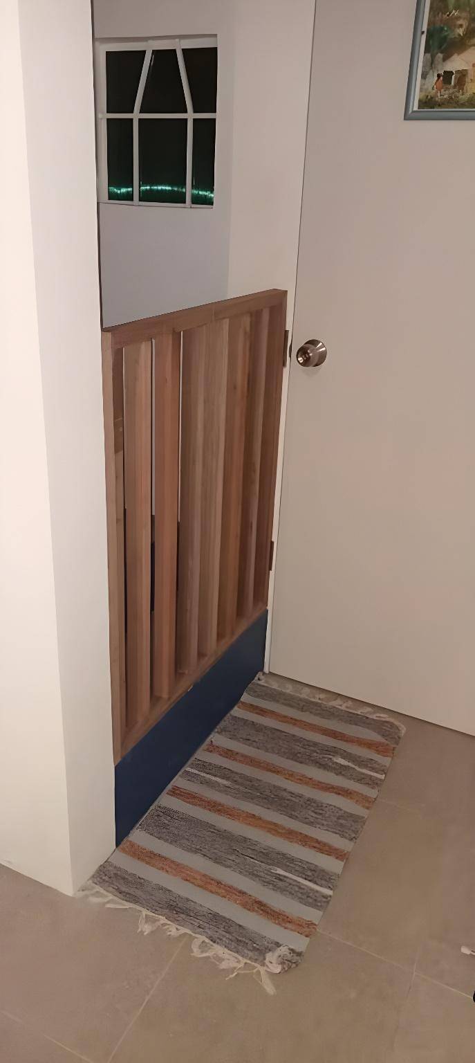 foto19