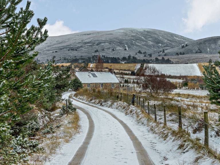 Cottage  Nethy Bridge
