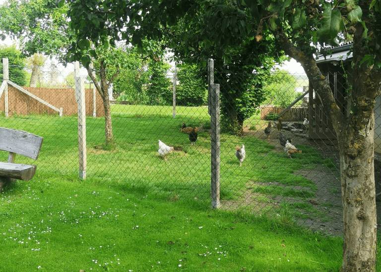 foto14