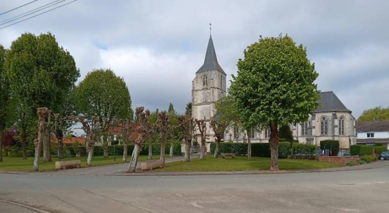 Nice house | Pets are welcome in Montreuil