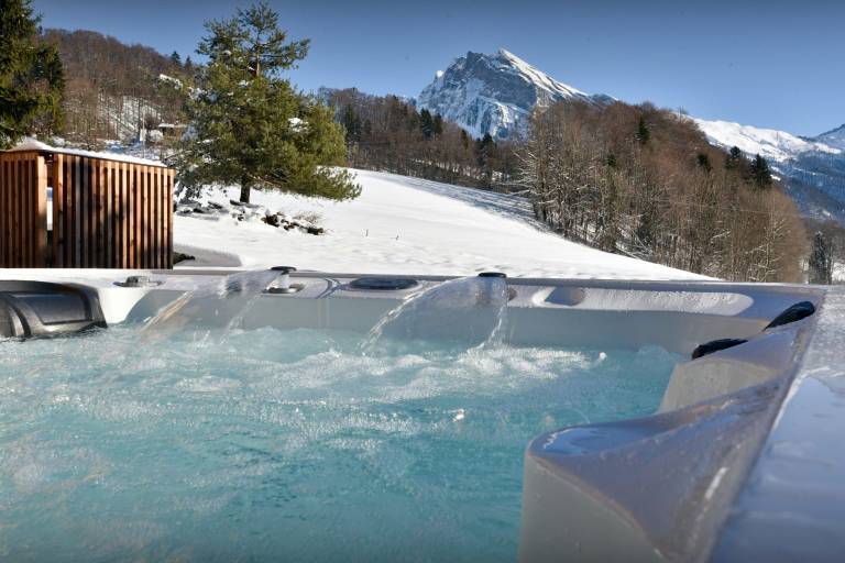 Chalet  Samoëns