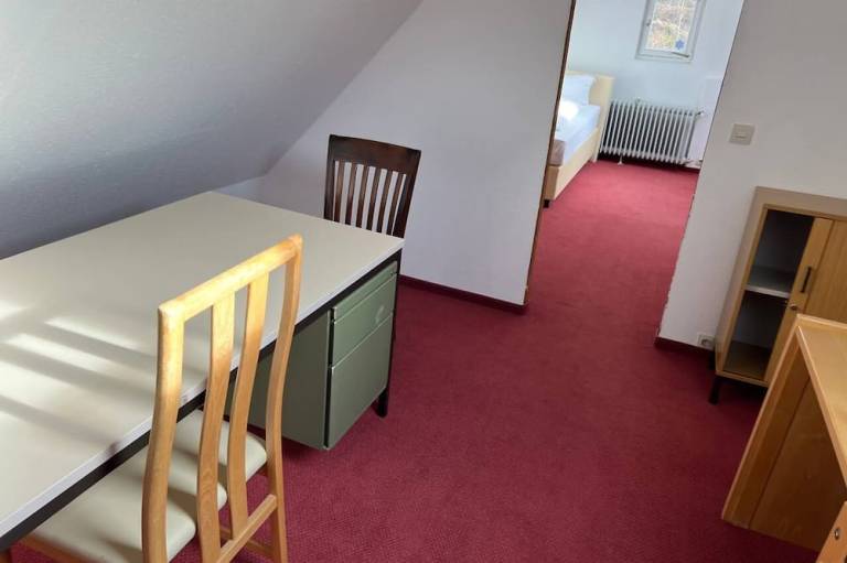 Room in Guest Room Pension Forelle Double Room No01 in Hundsbach