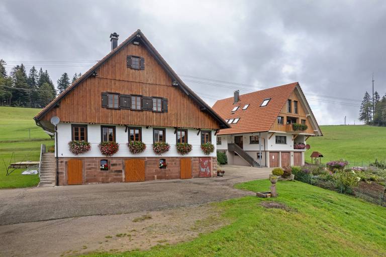 foto26