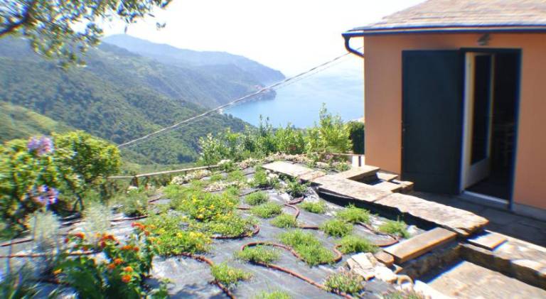 House | Next to the beach | Pet-friendly in Vernazza