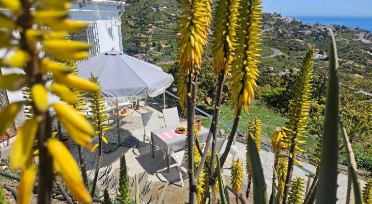 Rental apartment with yard, barbecue & patio in Almunecar