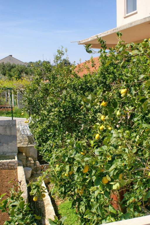 foto21