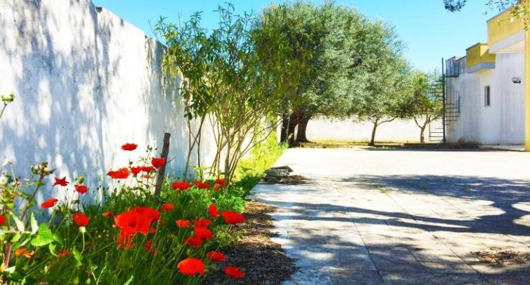 Family-friendly beautiful villa with garden | Pet-friendly — photo 5