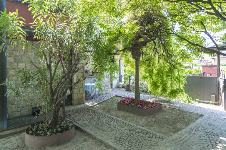 foto19