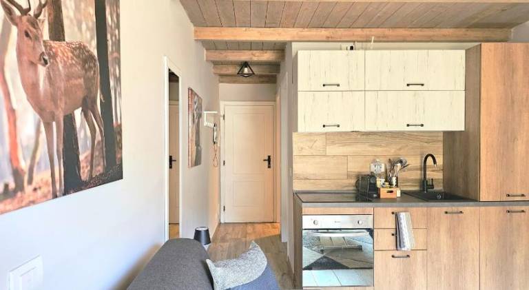 Holiday apartment | Close to the ski | Pets are welcome — photo 5