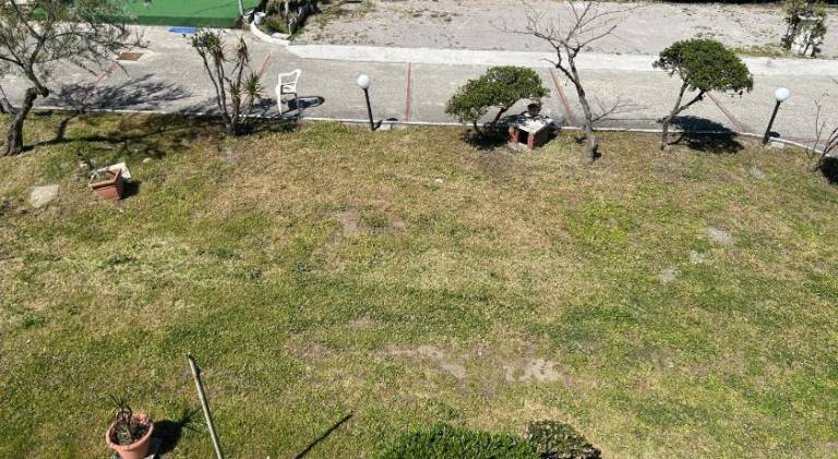 Holiday apartment | Next to the beach | Pets allowed — photo 4