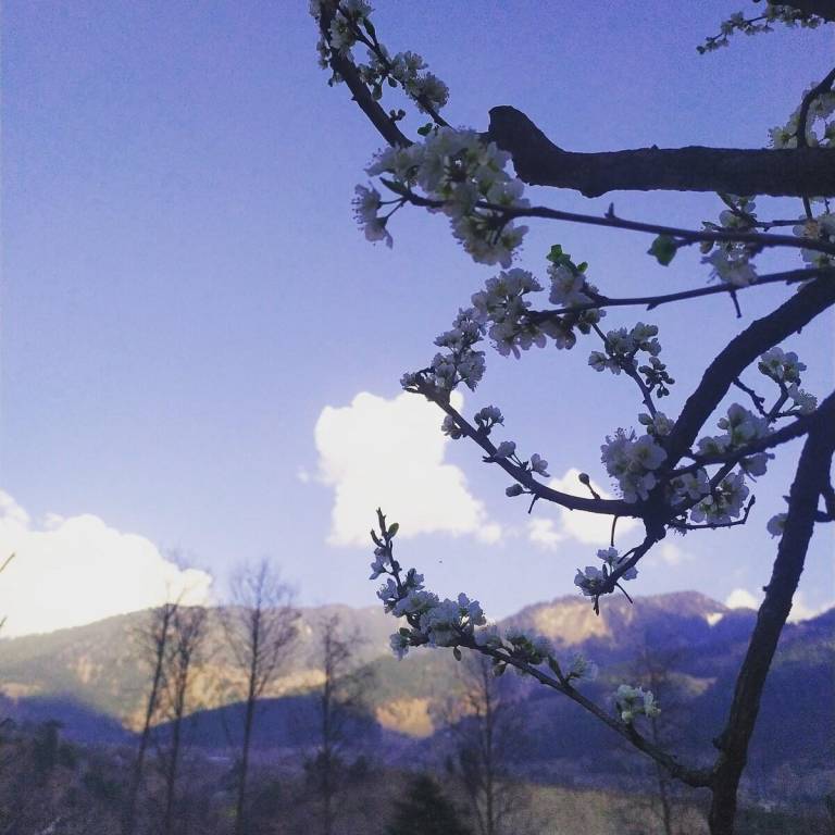 foto47