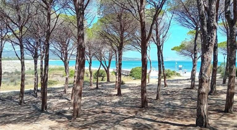 Vacation home with 2 rooms for 5 persons in Posada