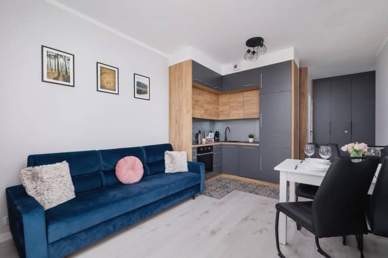 Family-friendly holiday apartment | Pet-friendly in Kraków