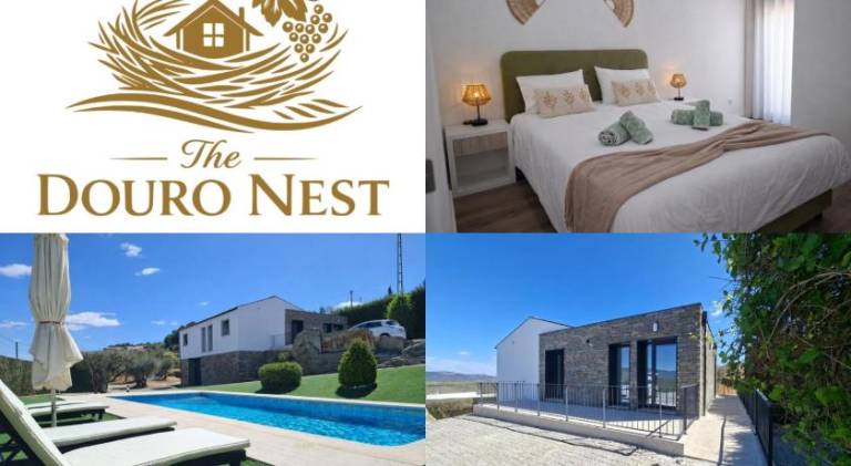 Vacation home with private pool, garden & barbecue in Viseu