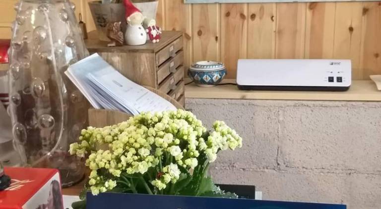 Apartment with pool | Pets allowed in Orta San Giulio