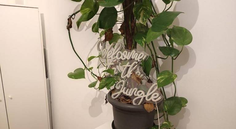 foto28
