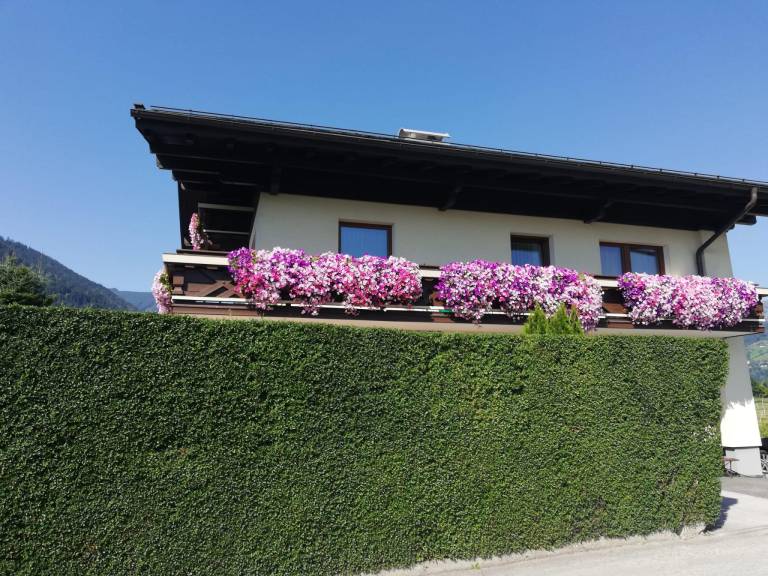 foto5