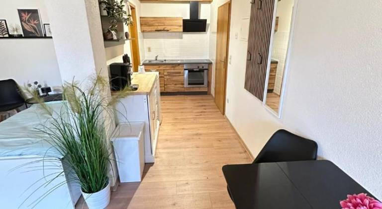 Ferienwohnung Donaueschingen