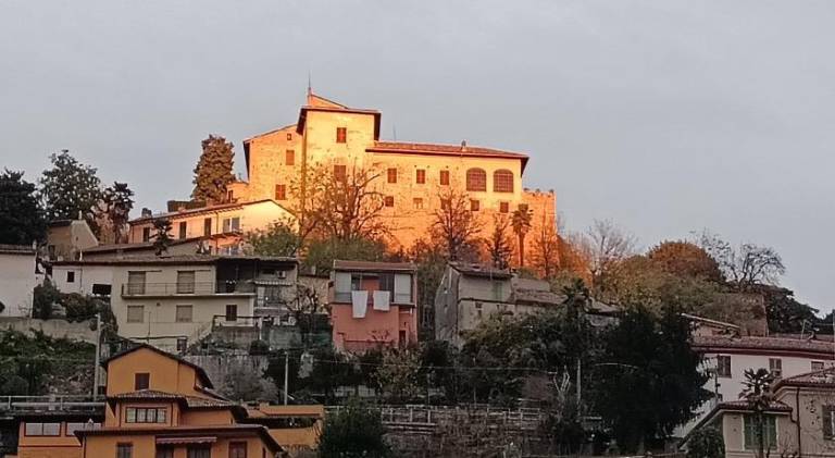 Beautiful holiday apartment | Pets allowed in Alessandria