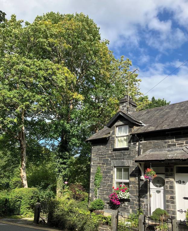 Cottage Betws-y-Coed