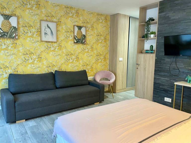Appartement  Cachan