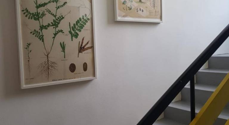 foto22