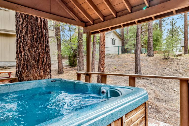 Family-oriented big cabin with barbeque & hot tub | Mountain view | Pets are welcome — photo 2