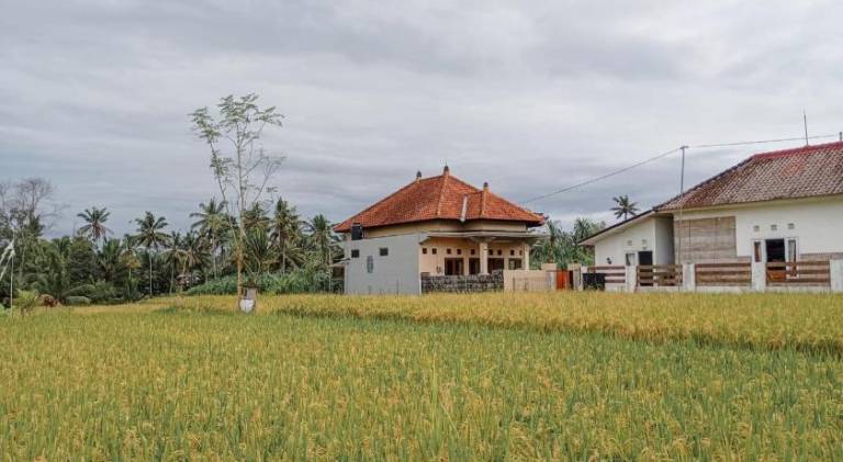 Maha House Mid of Ricefields in Tegallalang