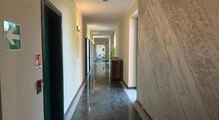 foto19
