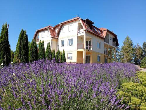 Apartman Alsóhámor