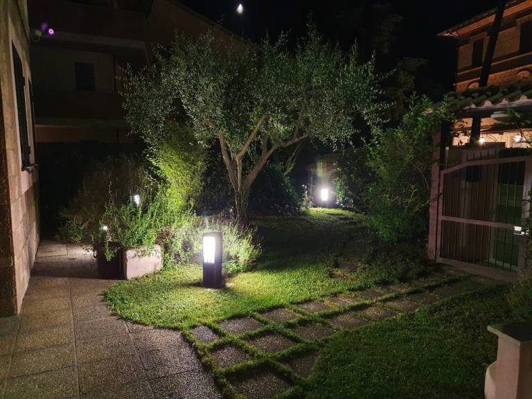 foto19