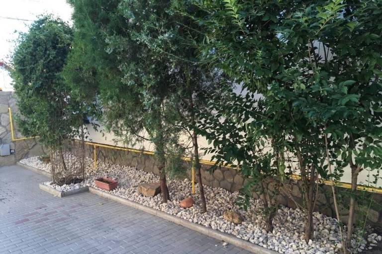 foto13