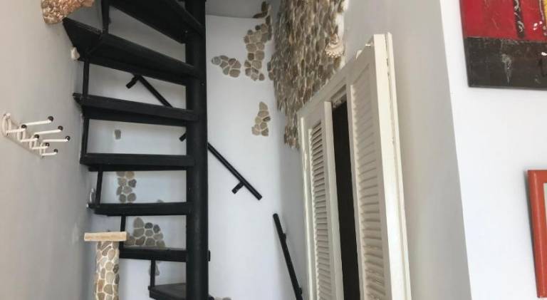 Pleasant holiday apartment | Next to the beach | Dogs allowed — photo 5