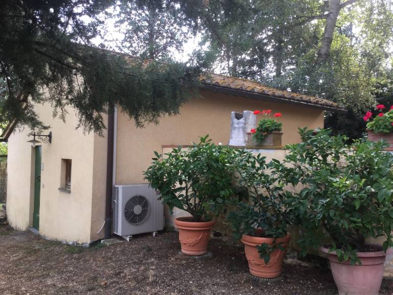 foto19