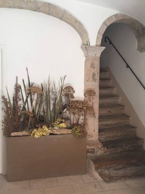 foto5