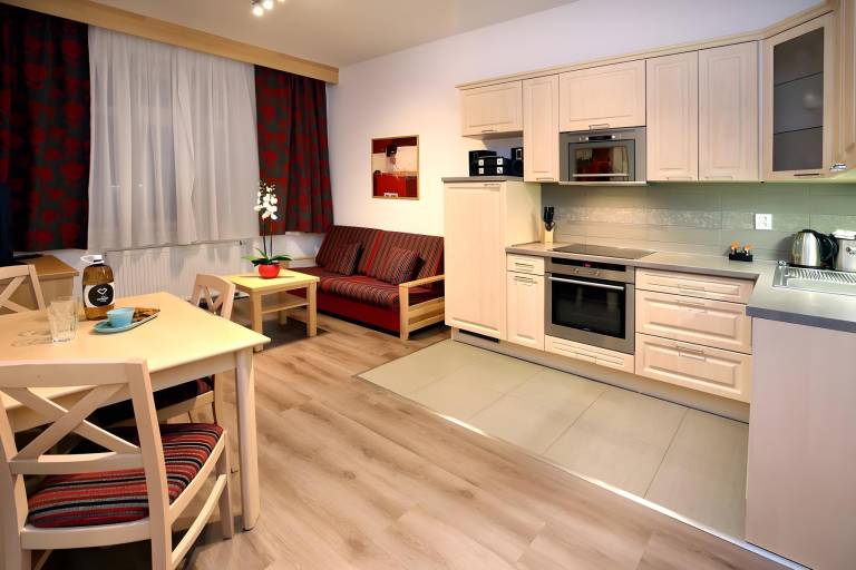 Serviced apartment with barbeque | Next to Dancing House in Prague