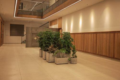 foto13