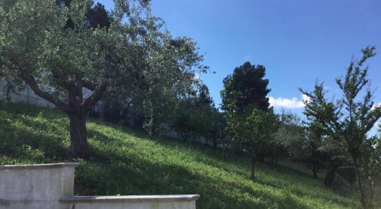 foto13