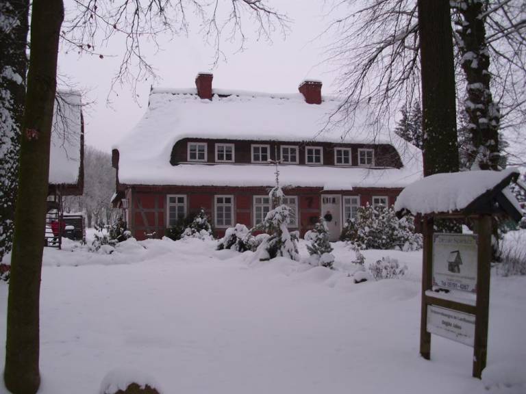 House with patio, grill & garden — photo 3